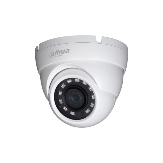 2MP Starlight HDCVI IR Eyeball Kamera